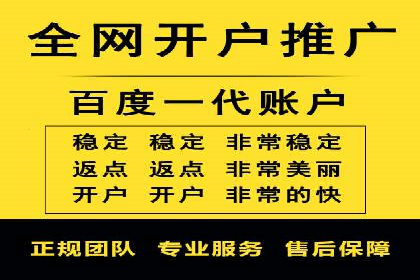 某电商平台的SEM广告投放全流程解析